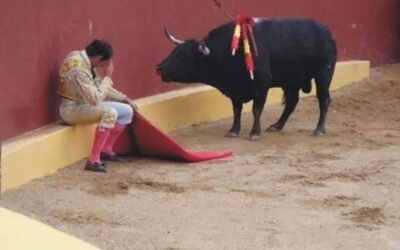 Une prise de conscience : un matador et un taureau se libèrent de leurs rôles imposés