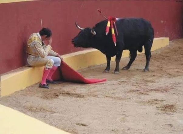 Une prise de conscience : un matador et un taureau se libèrent de leurs rôles imposés